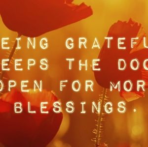 Meet your Posher, Katie